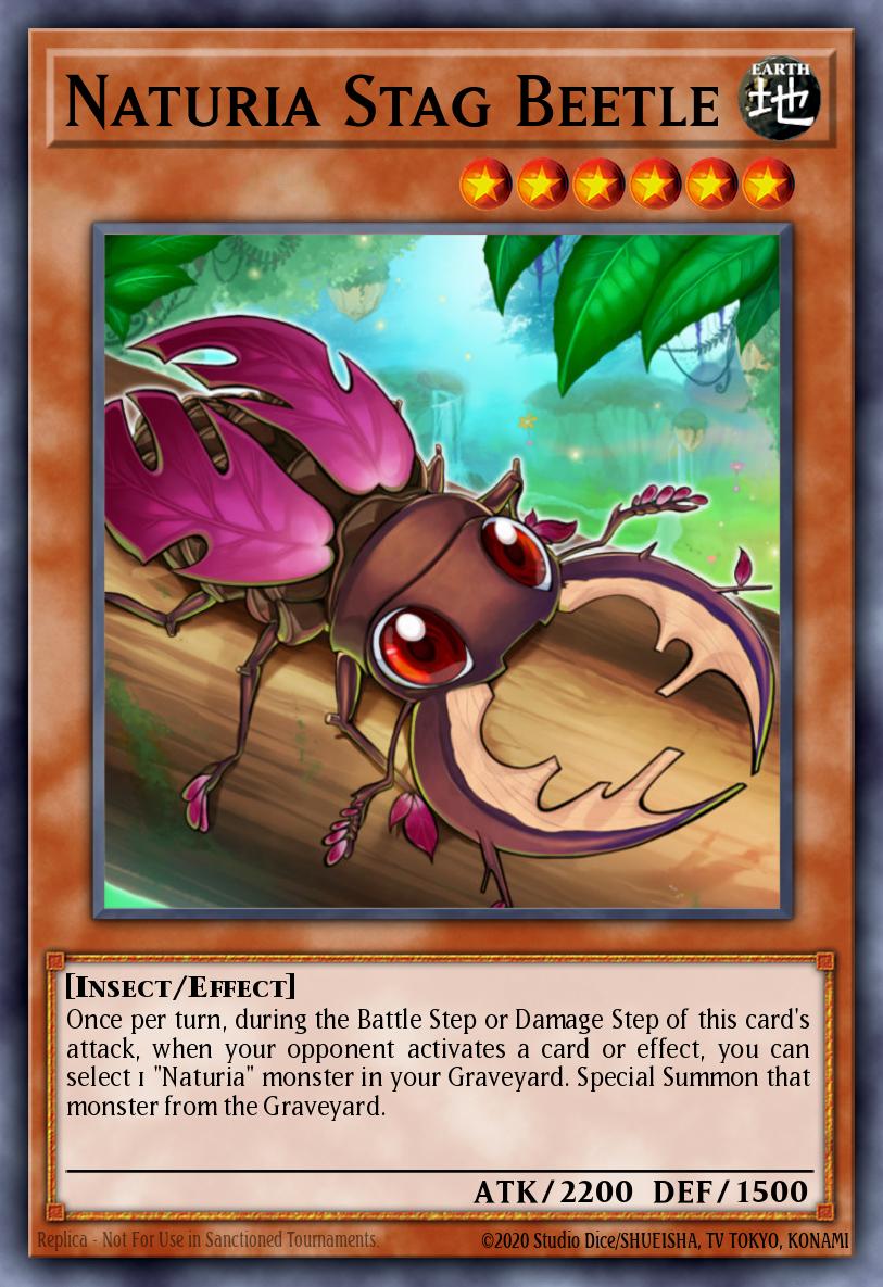 Naturia Stag Beetle