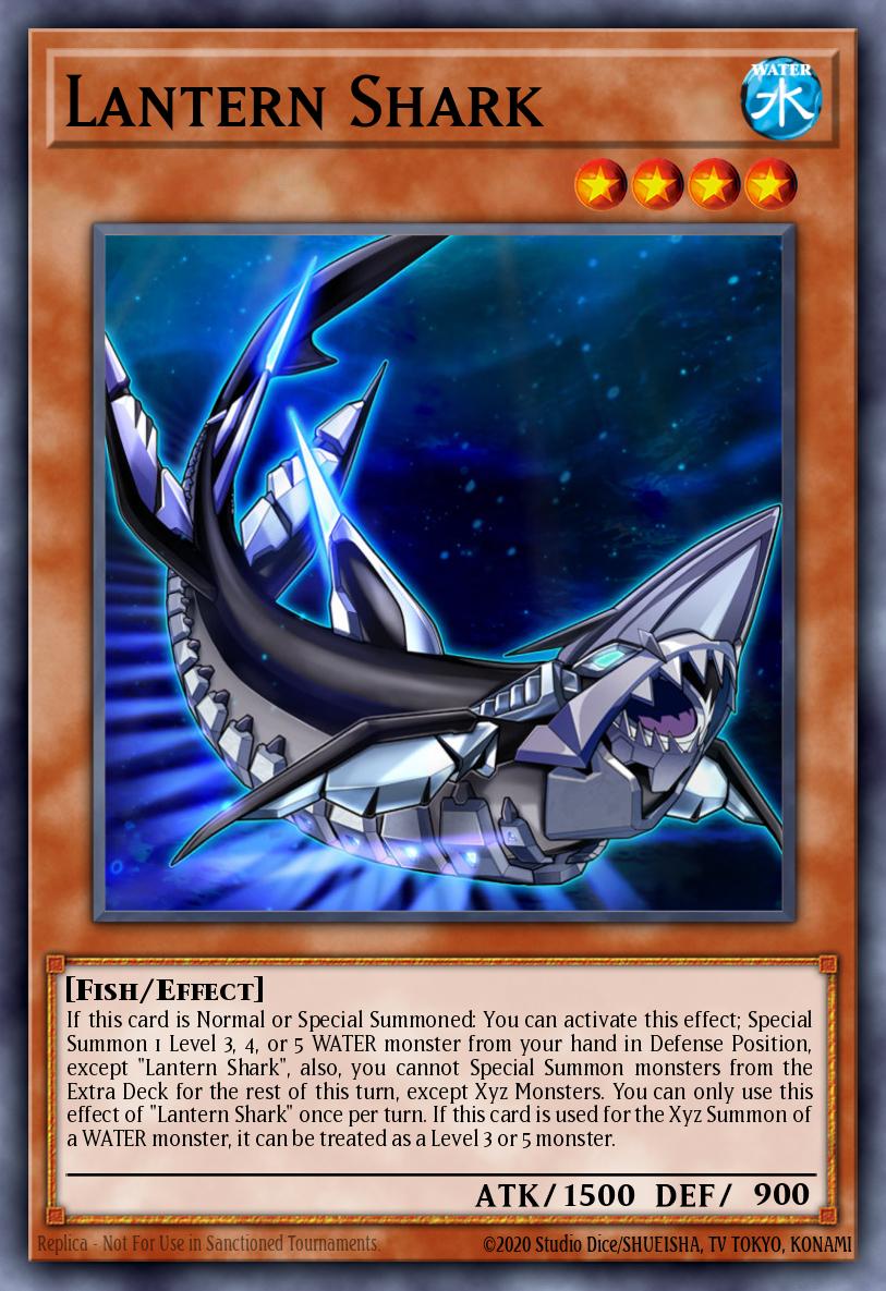 Lantern Shark