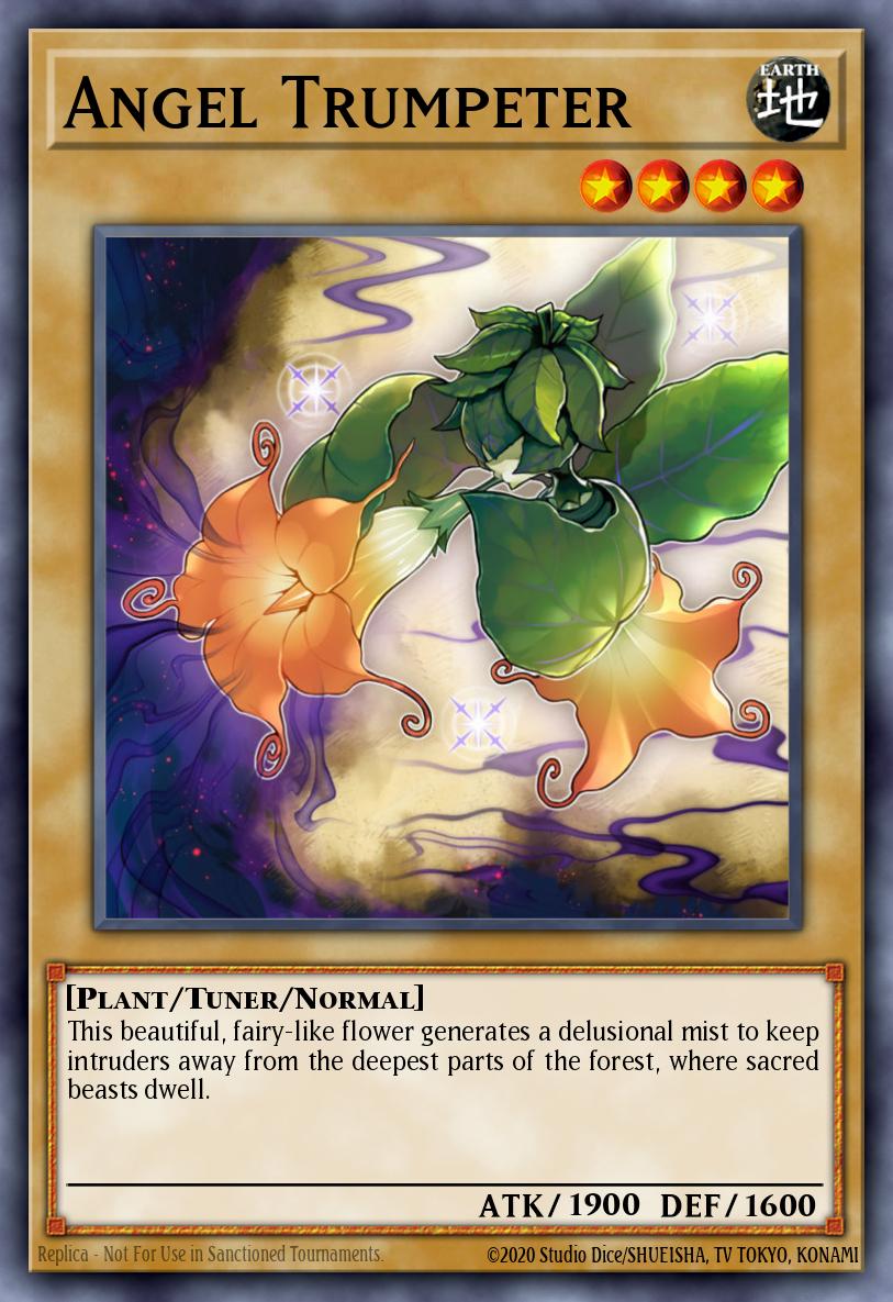 Angel Trumpeter