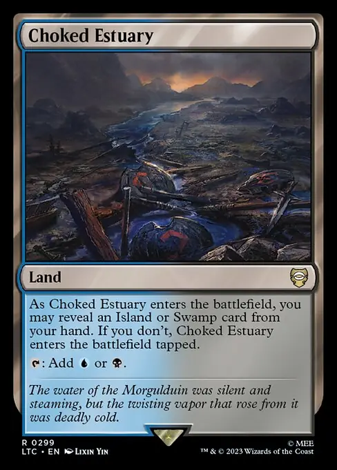 Choked Estuary