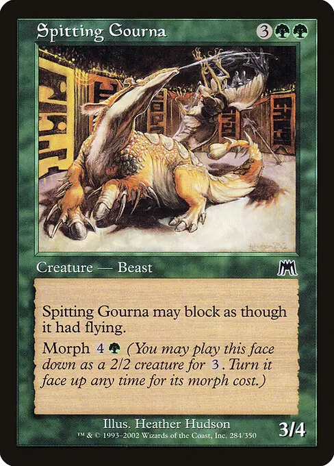Spitting Gourna