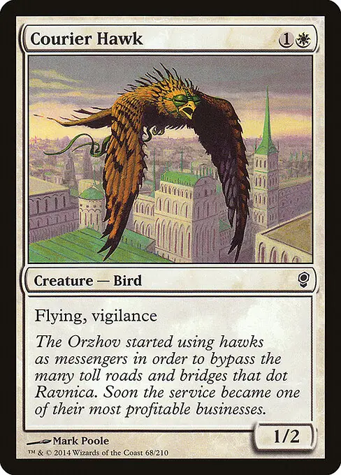 Courier Hawk