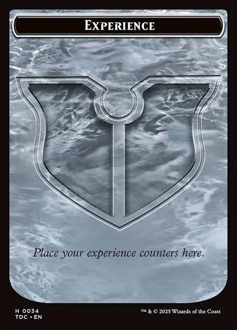 Experience